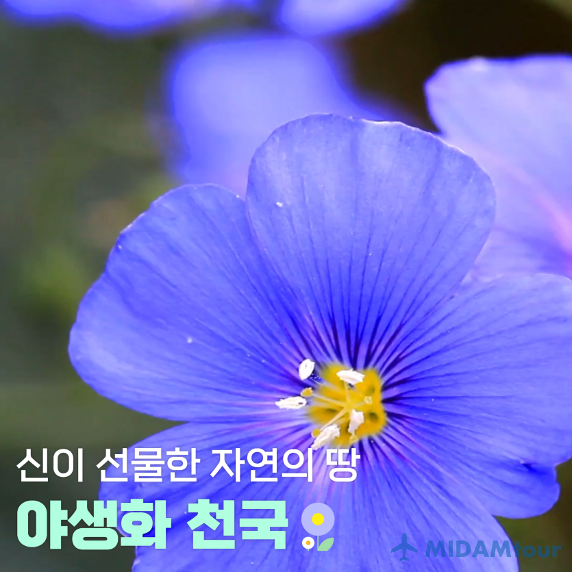 bc31aac1d4cc4a4833868c497967b759_1779438609_8372.png